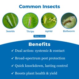 Arion Insecticide - Thiamethoxam 12.6% + Lambda Cyhalothrin 9.5% ZC 3