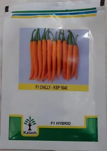 Kalash Chilli KSP 1640 Saffron F1 Hybrid Seeds, Highly Pungent Variety, Erect Yellow Short Fruit Plant