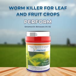 Parijat Perform Emamectin Benzoate 5% SG Insecticide, Use for Cotton, Okra, Cabbage, Chilli, Brinjal, Redgram, Grapes and Chick Pea 2