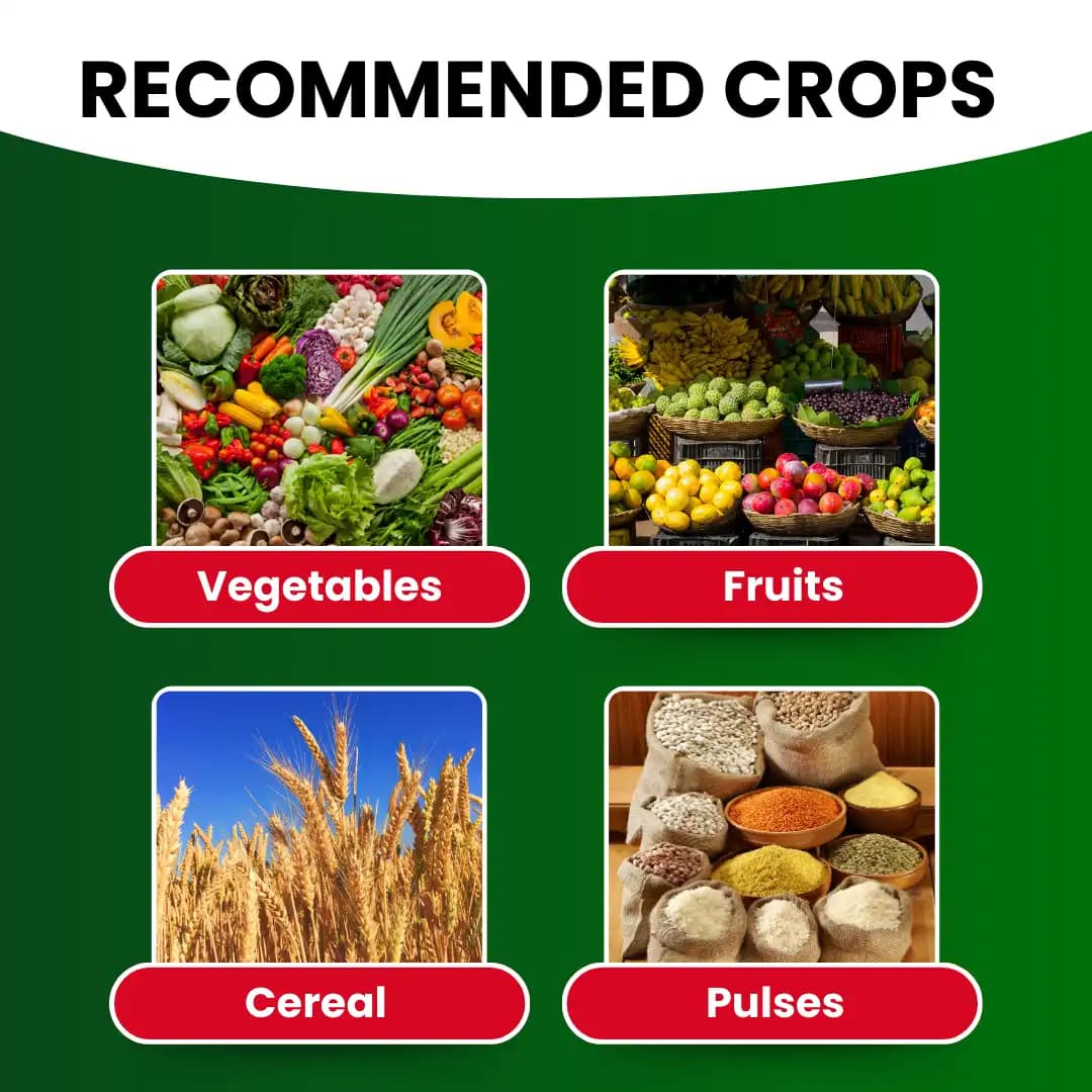 Katyayani Zinc - Chelated Micronutrient Fertilizer - Image 4