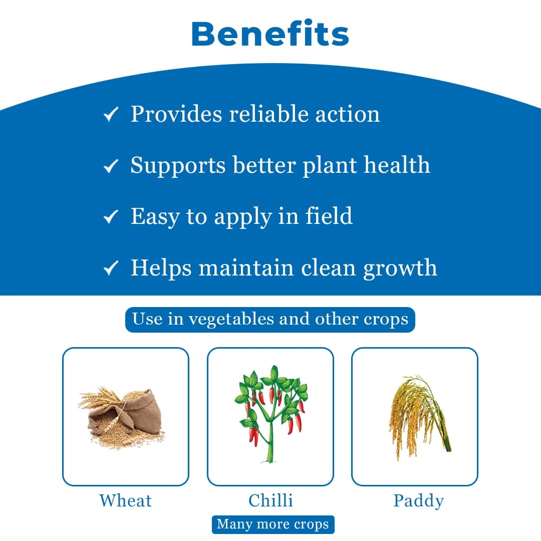 EBS I-Lane 40 Isoprothiolane 40% EC, Systemic Fungicide that Protects Crops From Fungal Diseases. - Image 4