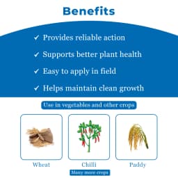 EBS I-Lane 40 Isoprothiolane 40% EC, Systemic Fungicide that Protects Crops From Fungal Diseases. 4