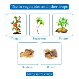 Sumetra Metribuzin 70% WP, Systemic and Contact Herbicide, Control of Annual Broad-Leaved Weeds 4