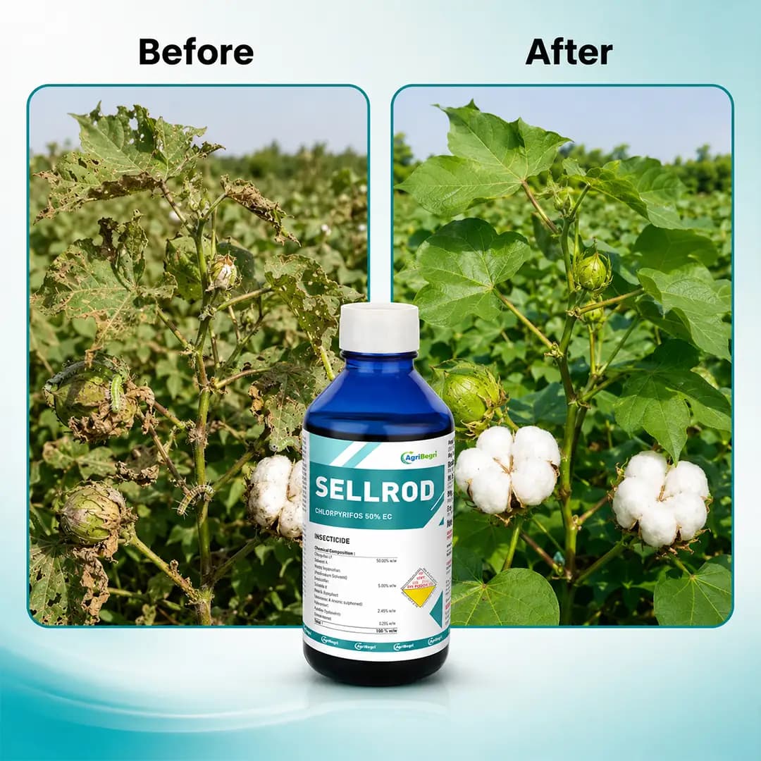 Sellrod Insecticide - Chlorpyrifos 50% EC - Image 6