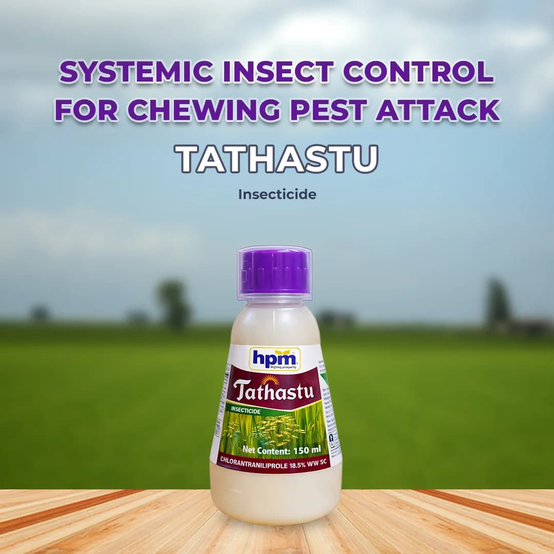 HPM Tathastu Insecticide - Image 2