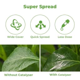 Katyayani Catalyser Silicon Super Spreader for Plants & Garden, Contain Natural Silica, Increase Crop Production, Reduces Loss Of Nutrients 3