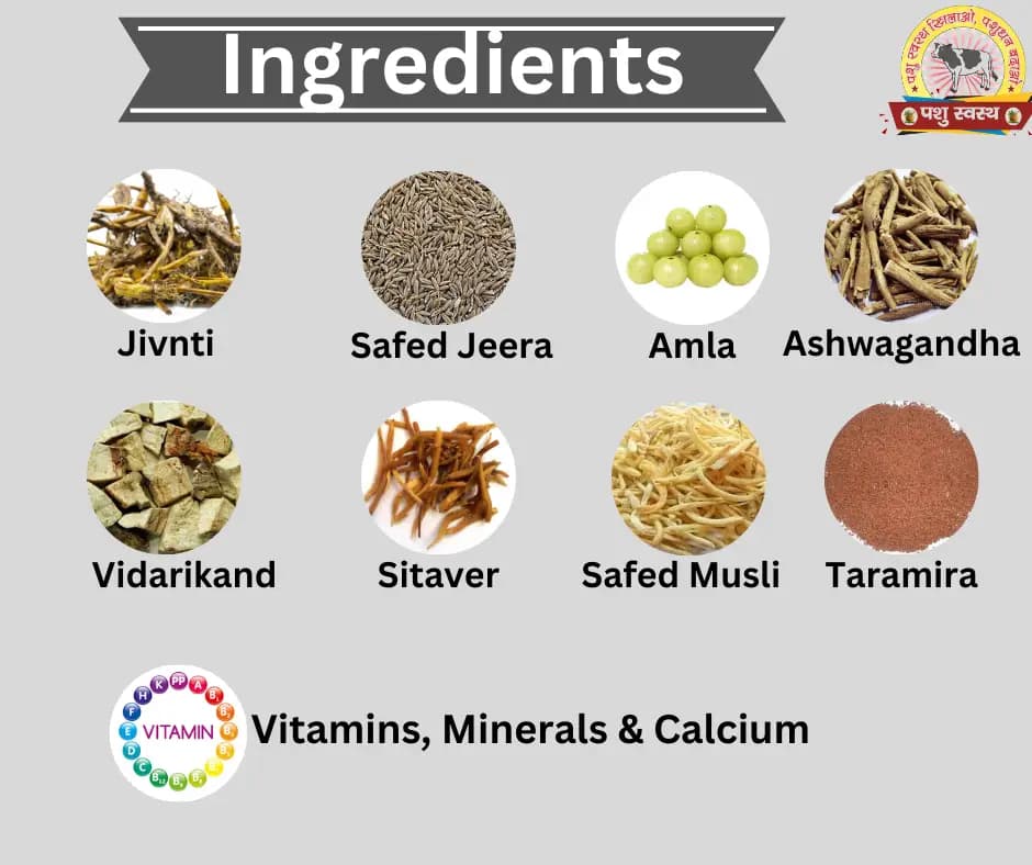 PASHU SVASTH MINERAL MIXTURE, Animal Health Supplement, Increase Livestock Health & Productivity, The Mixture Enhances Milk Production - Image 5