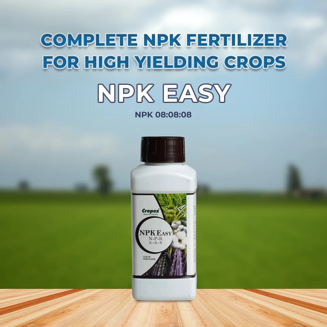 NPK Easy NPK 08:08:08 Quick Availability of Macro Nutrients to Crops, Improves Yield of Crops, Best for Sugarcane - Image 2