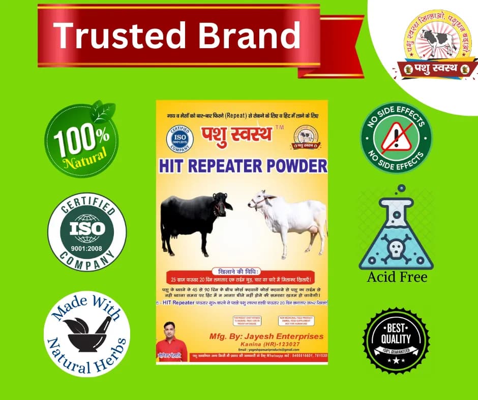 PASHU SVASTH HIT REPEATER POWDER, Natural Herbs Formula For Improved Fertility And Preventing Repeat Breeding In Cows And Buffaloes - Image 6