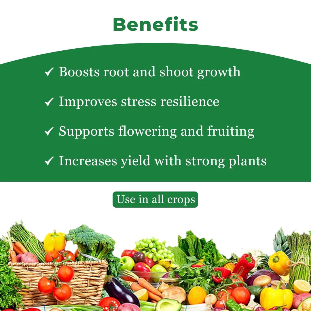 IIL CHAPERONE Sodium Para Nitro Phenolate 0.3% SL Plant Growth Promoter, Enhances Crop Growth - Image 4