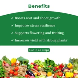 IIL CHAPERONE Sodium Para Nitro Phenolate 0.3% SL Plant Growth Promoter, Enhances Crop Growth 4