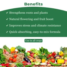 Premium Seaweed Extract Liquid for Plants Vegetables Flowers Fruits Promotes Plant Growth, Flowering, Fruiting - Keeps Plant Healthy and Greenish 4