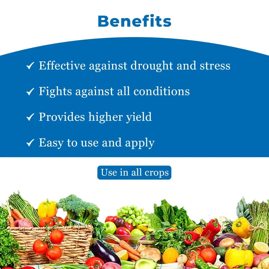 NUCLEAR - Best and Ultimate Yield Enhancer, Combination of Fulvic Acid, A.N.A Acid, S.N.P, NATCA, and Silicon Spreader - Image 4