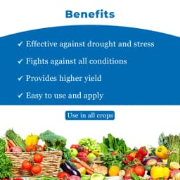 NUCLEAR - Best and Ultimate Yield Enhancer, Combination of Fulvic Acid, A.N.A Acid, S.N.P, NATCA, and Silicon Spreader 4