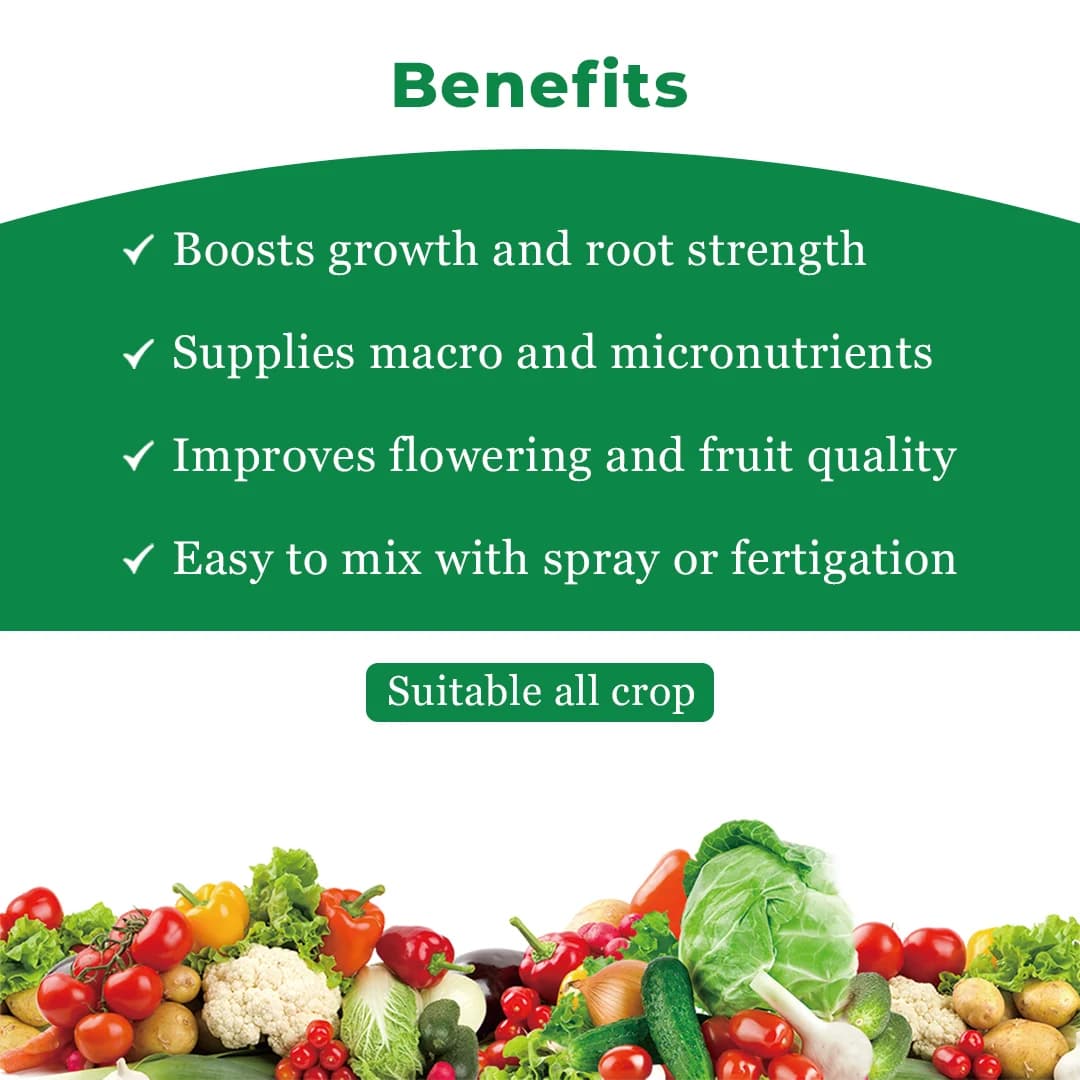 Crystal Nutrozen Systemic Balanced Nutrition, For Optimum Metabolic Activities - Image 4