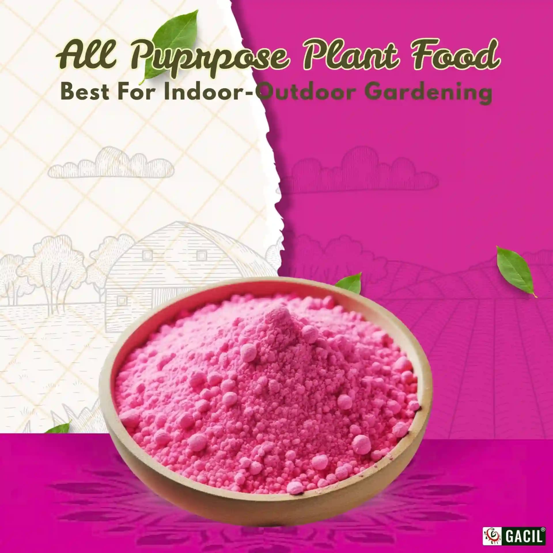 Gacil NPK 19:19:19 Fertilizer - Image 6