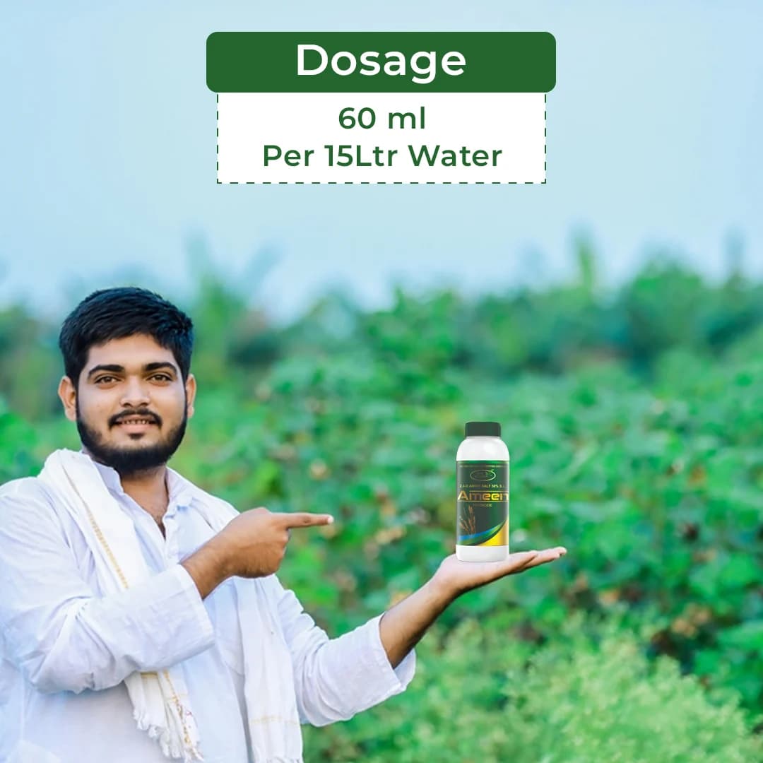 Agriventure Ameen ( 2,4-D Amine Salt 58 % S.L ) Broad Spectrum And Selective Herbicide - Image 5