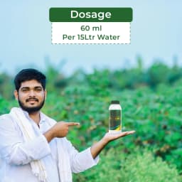 Agriventure Ameen ( 2,4-D Amine Salt 58 % S.L ) Broad Spectrum And Selective Herbicide 5