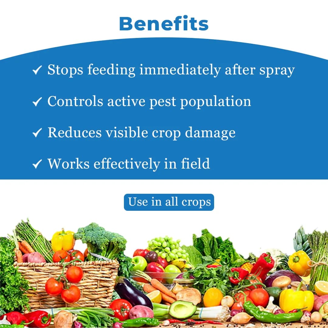 Zeal Attack Insecticide - Image 4