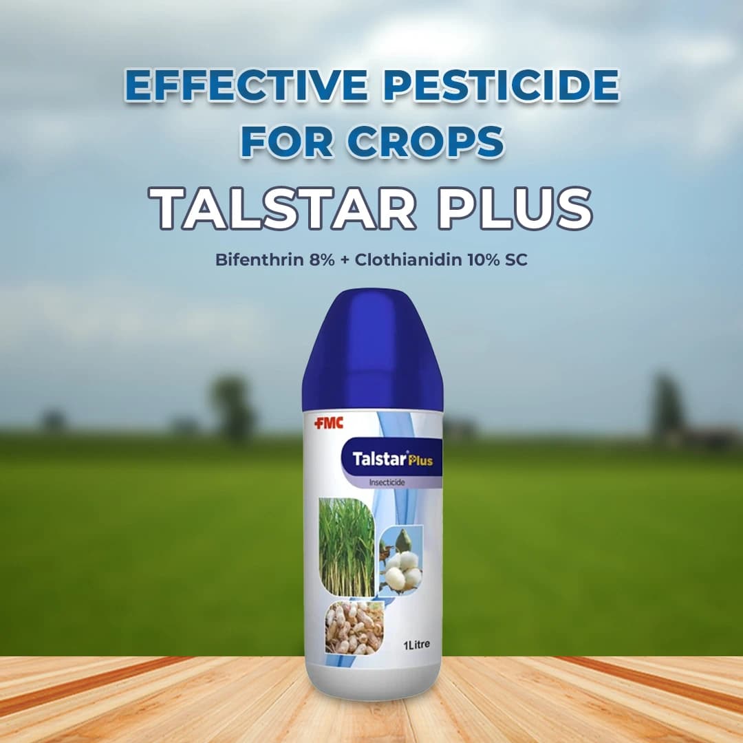 FMC Talstar Plus Bifenthrin 8% + Clothianidin 10% SC, Broad Spectrum Insecticide, Controlling a Wide Range of Sucking and Chewing Insects - Image 2