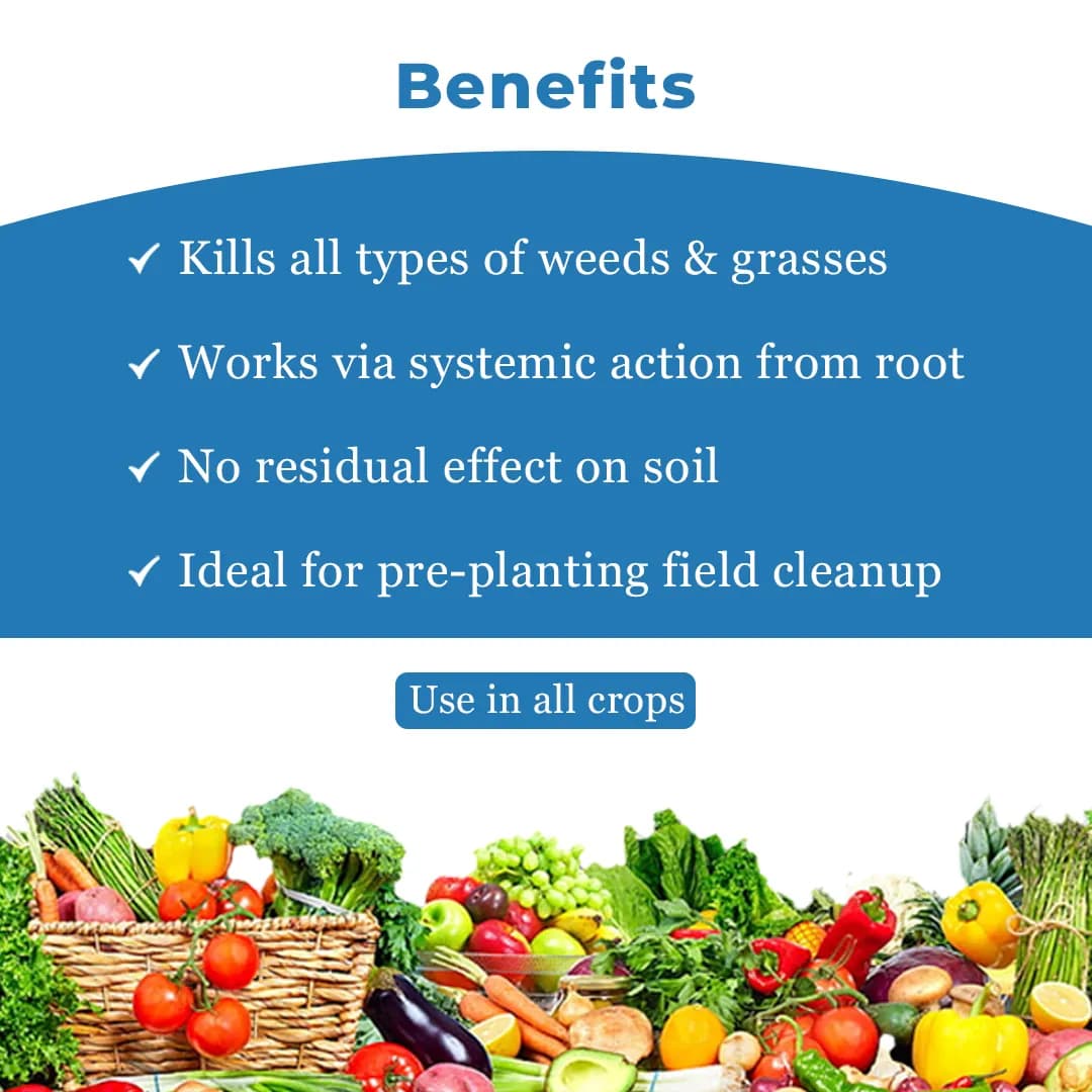 GSP Runout Glyphosate 41% SL Herbicide, Broad Spectrum, Non Selective, Systemic - Image 4