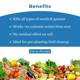 GSP Runout Glyphosate 41% SL Herbicide, Broad Spectrum, Non Selective, Systemic 4