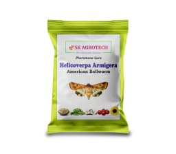 SK Agrotech Helicoverpa armigera (American Bollworm) Pheromone Trap With Lure - Effective Solution For Controlling Green Leaf-Eating Caterpillars 2