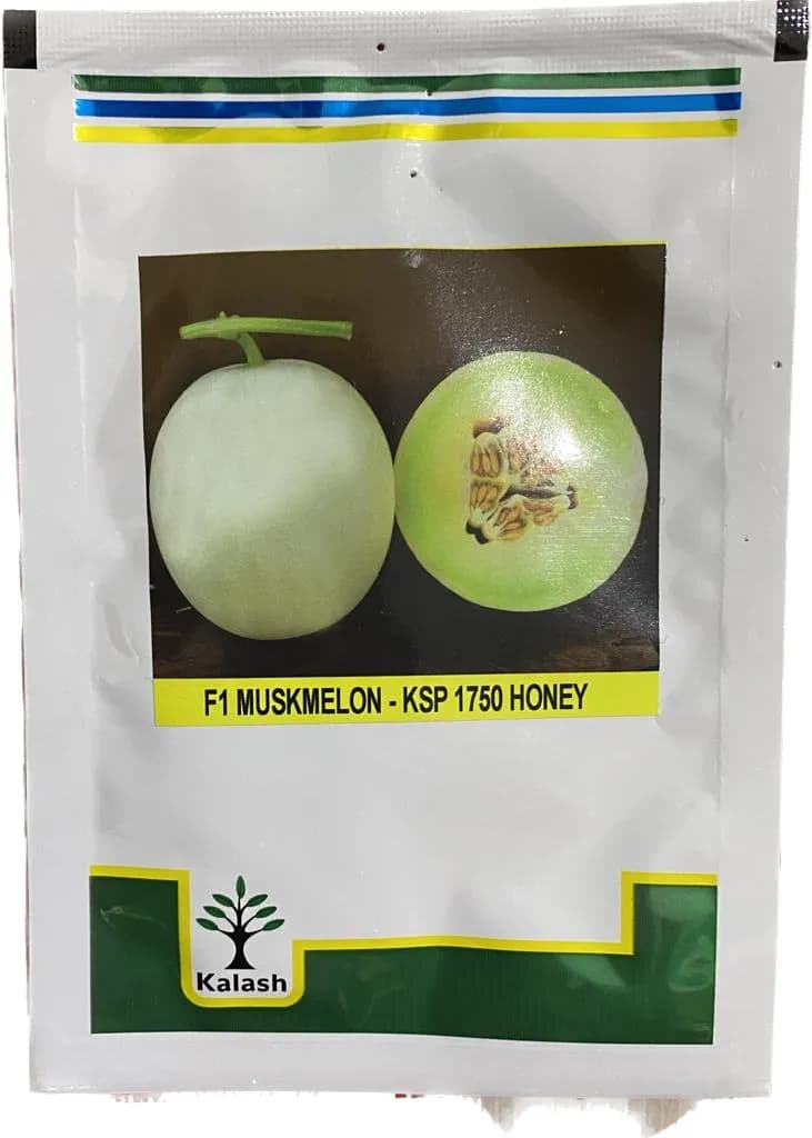Kalash Muskmelon KSP 1750 Honey F1 Hybrid Seeds. Best Keeping Hybrid Variety.