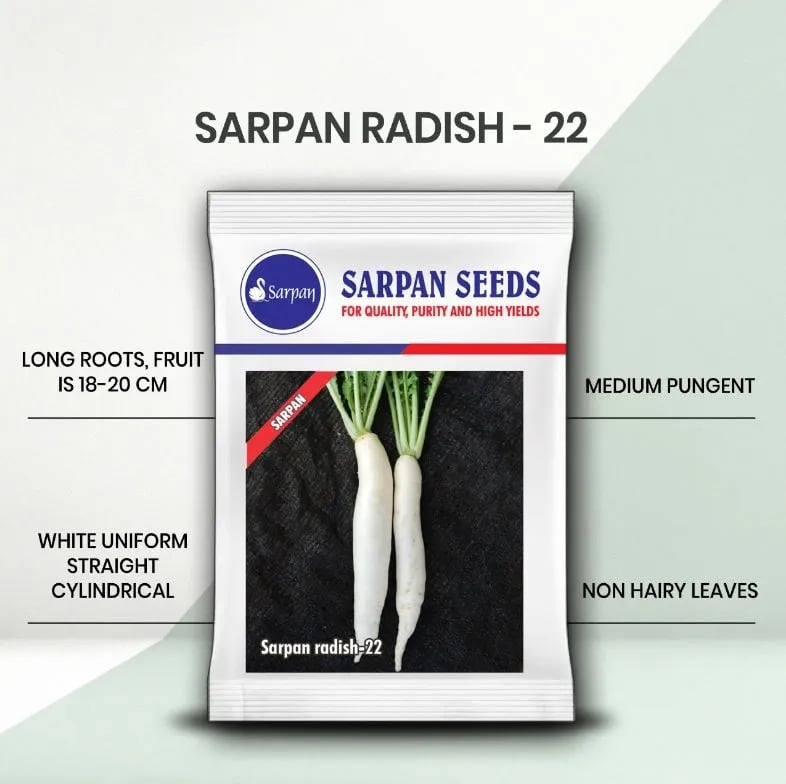 சர்பன் ஹைப்ரிட் 22 முள்ளங்கி விதைகள். நீண்ட வேர்கள், முடியில்லா இலைகள், மிதமான காரம்