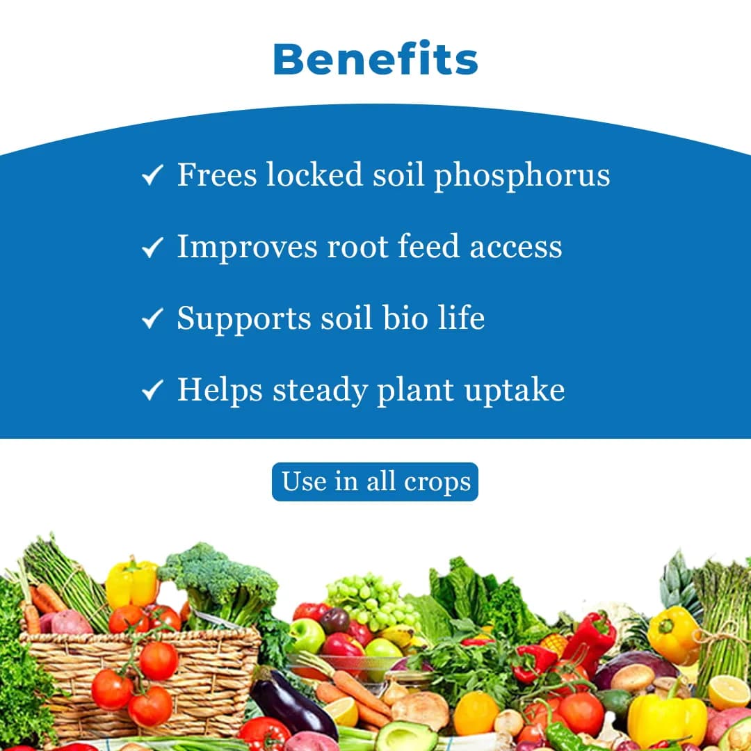 जीवाणु फॉस्फेट घुलनशील जीवाणु जैव उर्वरक, तने की ताकत बढ़ाएँ, प्रभावी जीवाणु का मजबूत संयोजन। - Image 4