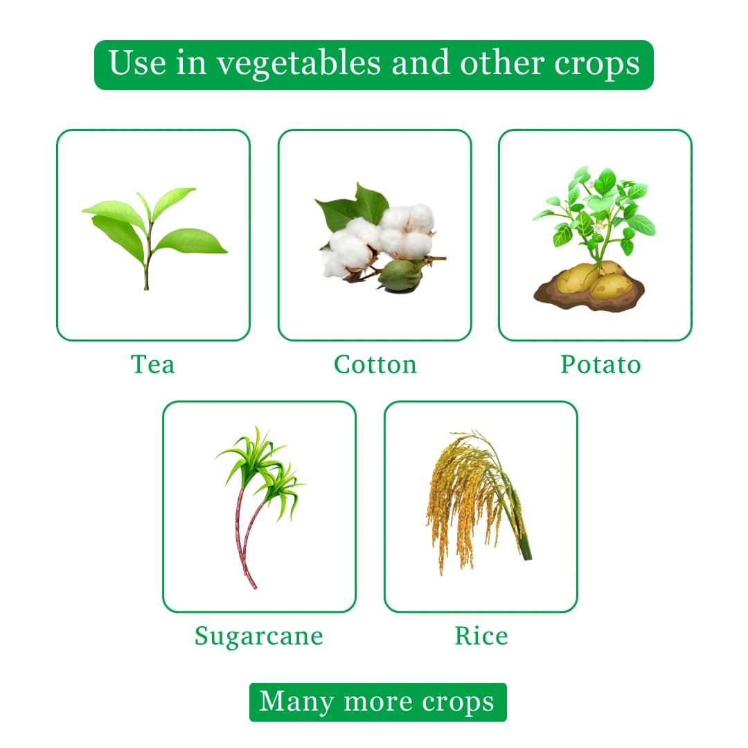 Krishi Rasayan Kapiq Herbicide - Image 4
