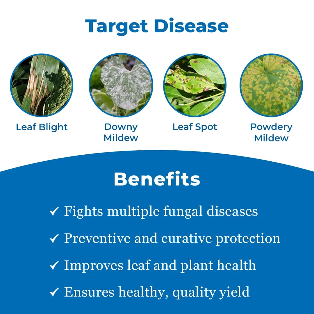 Dhanuka Sixer Fungicide - Image 3