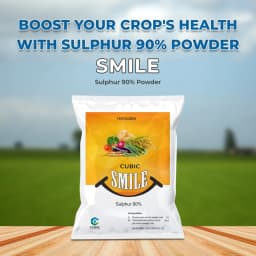 Cubic Smile, Sulphur 90% Powder, Micronutrient Fertilizers Which is Readily Dispersible In Water 2