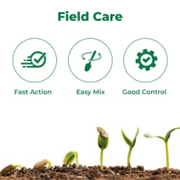 EBS Dizoxy Top Azoxystrobin 18.2% + Difenoconazole 11.4% SC Dual Systemic Fungicide 3