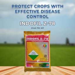 Indofil Z-78 Zineb 75% WP, An Unique Broad Spectrum Fungicides with Zinc Nutrition. 2