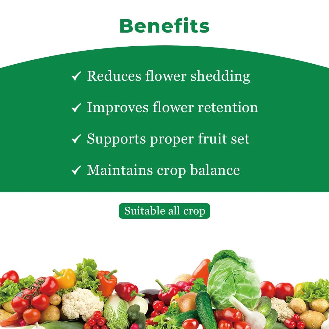 Geolife Balance Nano Flower Drop Arrester , Suitable For Every Stages Of Plant Growth , Promotes Efficient Nutrient Absorption , Unique Combination - Image 4