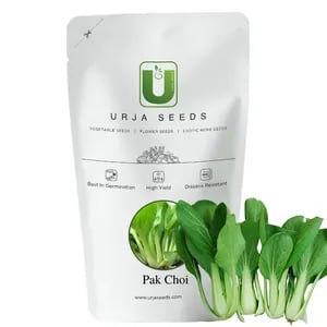 Urja All Green Pak Choi Seeds , White Stemmed Early Maturing Variety