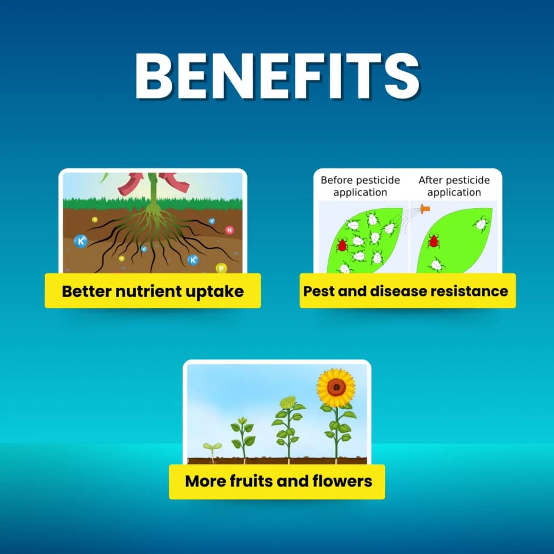 Katyayani Silica Pro Natural Granulated Silica, Organic Fertilizer, Best Solution For Gardening - Image 6