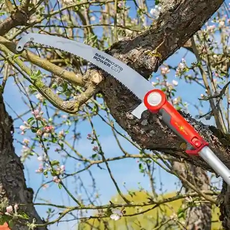 Wolf Garten Pro Pruning Saw (Power cut Saw 370), Hand Tools For Removing Unwanted Branches In Your Garden