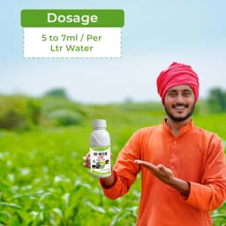 Katyayani Dr. Neem Oil 1500 ppm, Natural Plant Protection Solution, Used On Fruits 5