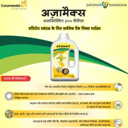 Coromandel Azamax Azadirachtin 300 PPM Neem Oil Insecticide, Effective Against Aphid And Bollworm Control 3