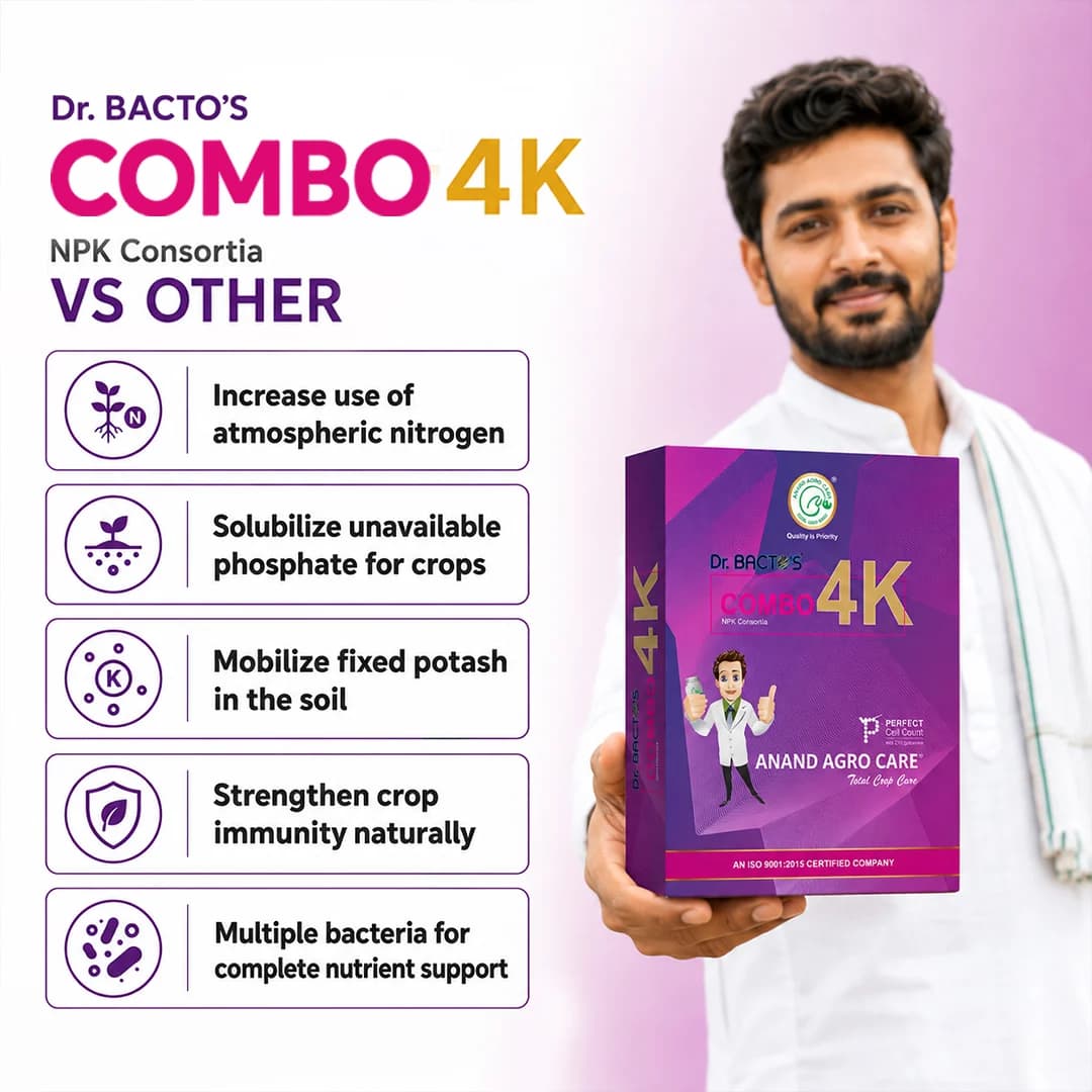 Dr. Bacto\'s Combo 4K (NPK Consortia) Dextrose Based Probiotic Cultures, Helps To Improve Immunity Of Crop. - Image 2