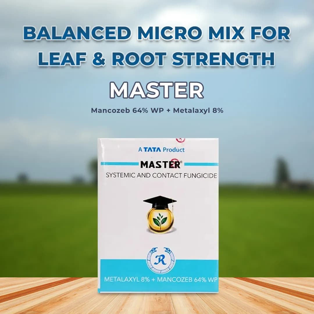 Tata Rallis Master - Mancozeb 64% WP + Metalaxyl 8%, Fungicide Effective Against Downy Mildew - Image 2