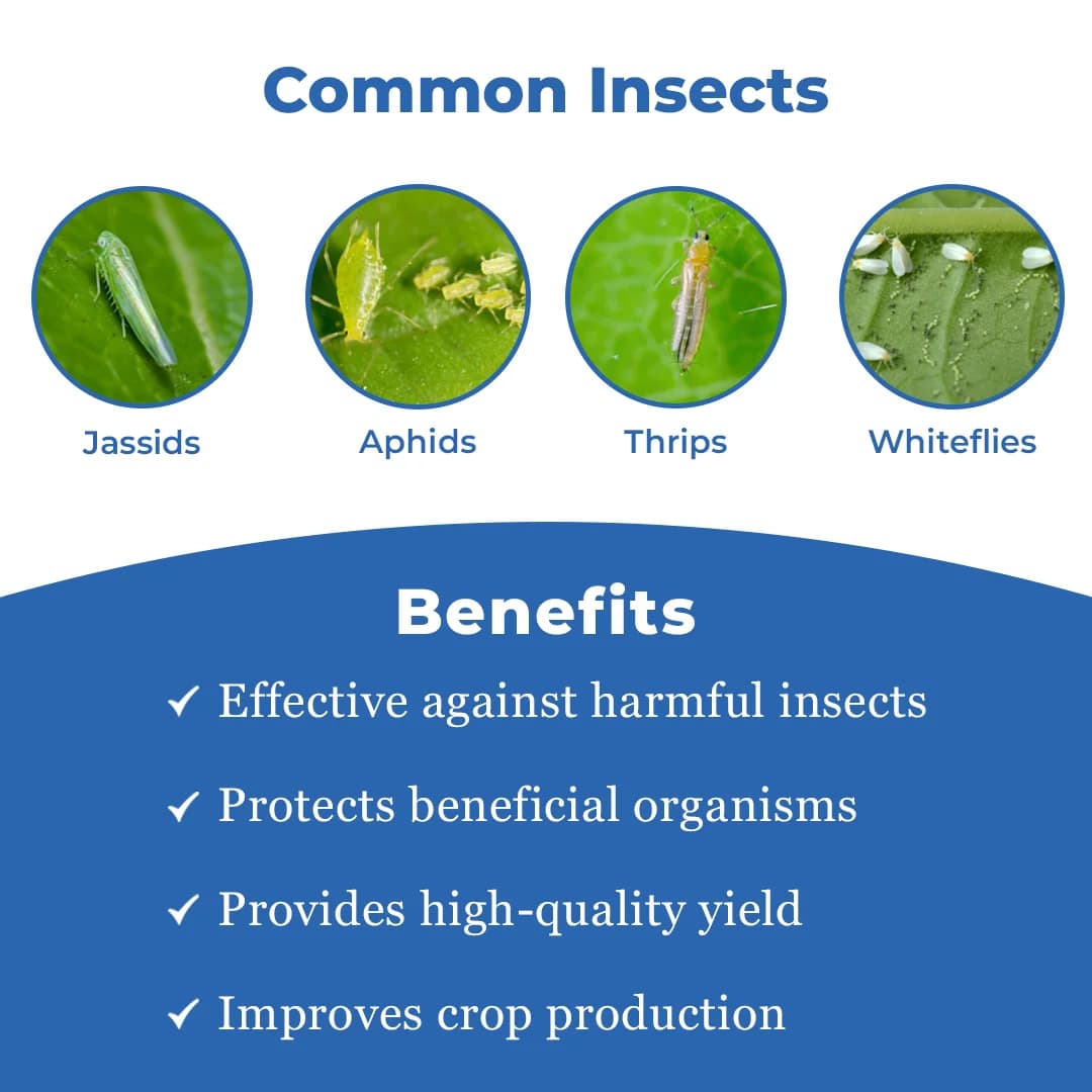 टेक्सन पीडब्लू - थियामेथोक्साम 70% डब्ल्यूएस, प्रणालीगत कीटनाशक, माहूँ, जैसिड, थ्रिप्स और सफ़ेद मक्खी को नियंत्रित करने के लिए - Image 3