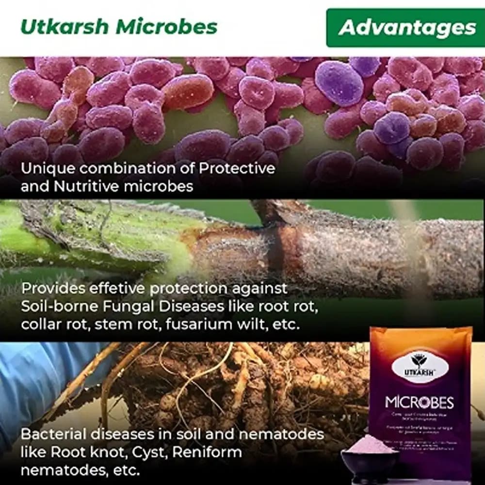 Utkarsh Microbes Carrier Based Consortia Bio Fertilizer, For Nitrogen Fixing, Phosphorus & Potassium Mobilization - Image 2