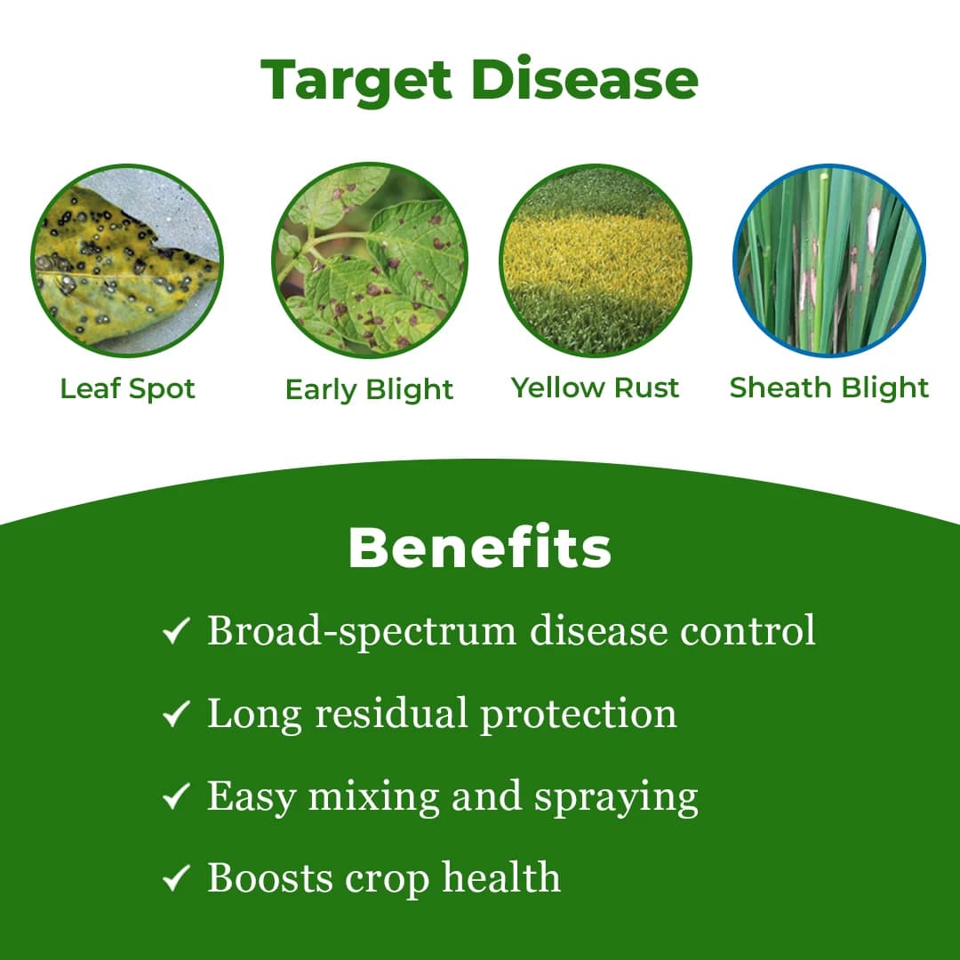 Bayer Buonos - Tebuconazole 38.9%, Systemic Fungicide, For Control Of Leaf Spot Disease And Powdery Mildew - Image 3