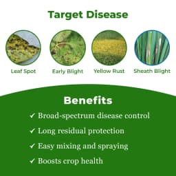 Bayer Buonos - Tebuconazole 38.9%, Systemic Fungicide, For Control Of Leaf Spot Disease And Powdery Mildew 3