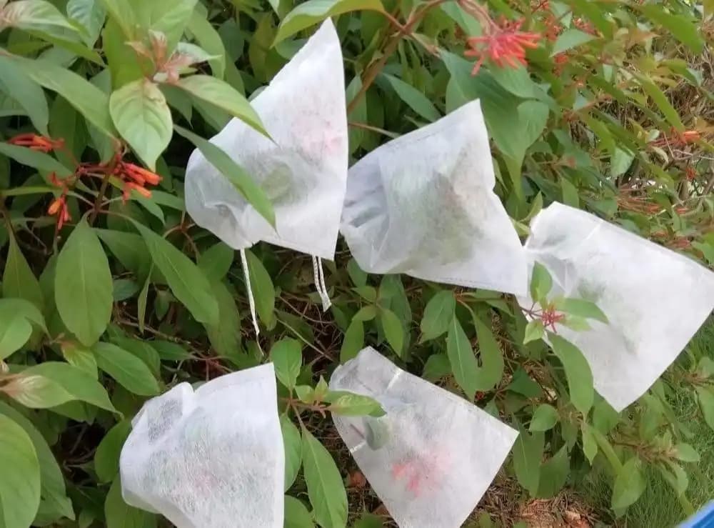 Radhe Fruit Protection Bags - Fruit Cover Bags - Image 11