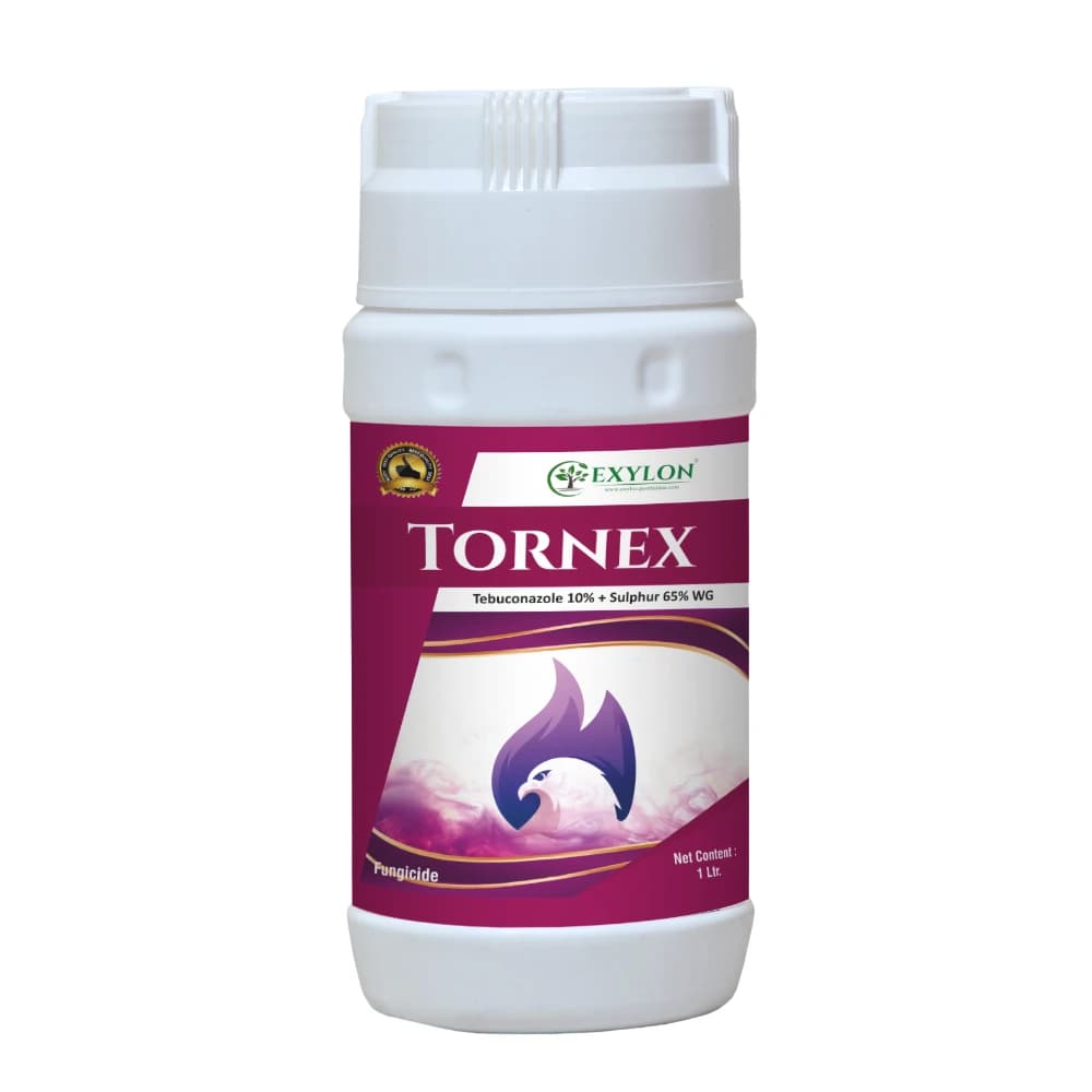 Exylon Tornex Tebuconazole 10% + Sulphur 65% WG Fungicide, Powerful Systemic And Contact Control Fungal Diseases In Crops
