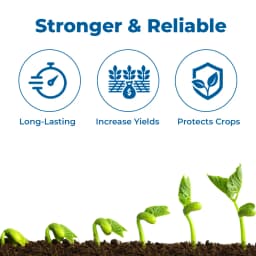 Biostadt ROKO Thiophanate Methyl 70% WP Fungicide, Broad Spectrum, Enhances Plant Growth And Yields 2